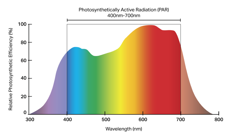 about-uv-led-grow-light-uv-far-red-720w